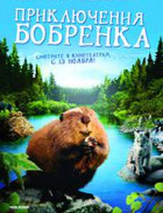 Приключения бобрёнка