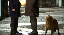 Кадр из фильма "Джек Райан: Теория хаоса" - 1