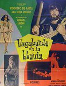 Блуждающий в дожде