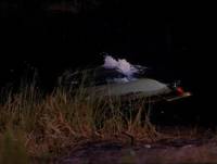 Кадр Психо 4: Начало