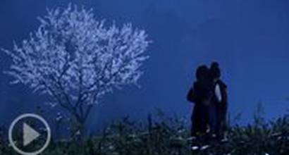 ТВ-ролик (сезон 1, эпизод 3)