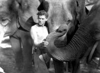 Кадр Тарзан: Человек-обезьяна