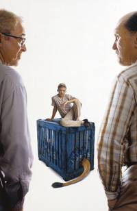 Постер Подержанные львы