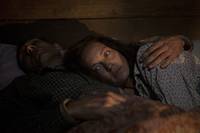 Кадр Крик совы