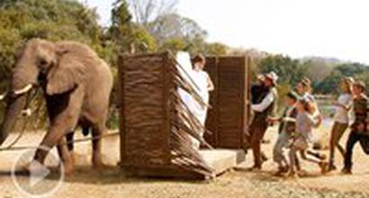 Трейлер (украинский)