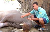 Кадр 50 первых поцелуев