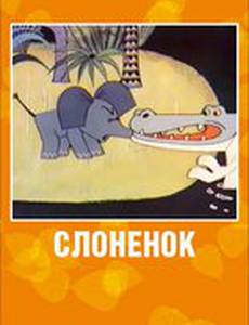 Слоненок