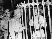 Кадр Африка зовёт