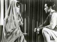 Кадр Каникулы в гареме