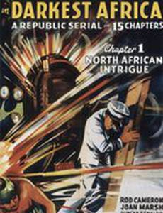 Секретная служба в Африке