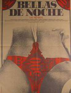 Bellas de noche