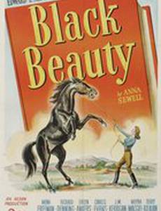 Чёрный красавец