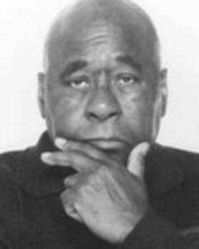 Эл Фэнн фото