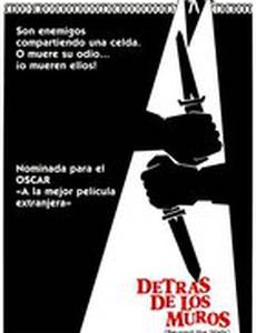 За решёткой