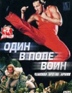Один в поле воин