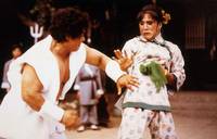 Кадр Бесстрашная гиена