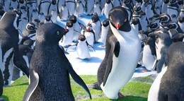 Кадр из фильма "Делай ноги 2 в 3D" - 1