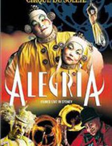 Цирк Дю Солей: Алегрия