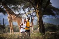 Кадр Золото: Вы можете сделать больше, чем вы думаете