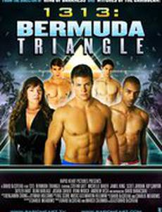 1313: Бермудский треугольник (видео)