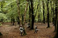 Кадр Мерлин