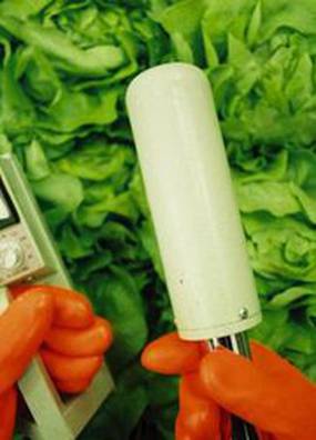 Облако: Чернобыль и его последствия