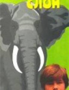 Потерялся слон