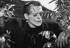 Еще один Франкенштейн