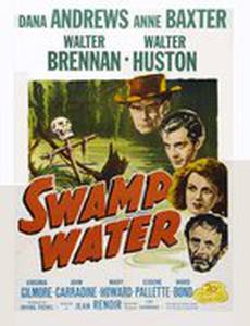 Болотная вода