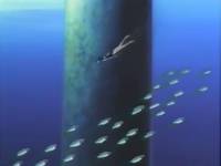 Кадр Нарутару