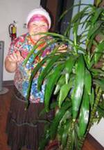 Людмила Великая фото