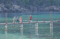 Кадр Долгое падение