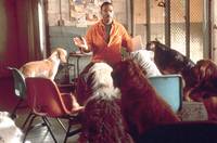 Кадр Доктор Дулиттл 2