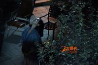 Кадр Двойная экспозиция