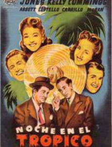 Одна ночь в тропиках