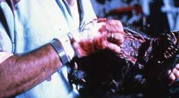 Кадр из фильма "Зубастики" - 2