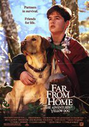 Далеко от дома: Приключения желтого пса