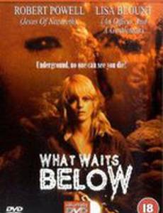 Что ждёт внизу