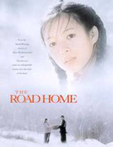 Дорога домой