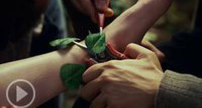 Фрагмент №2