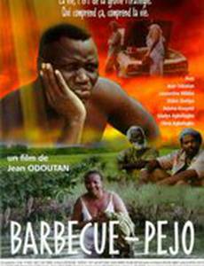 Barbecue-Pejo