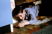 Кадр Крысолов