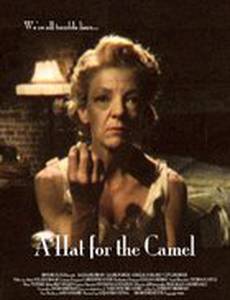A Hat for the Camel