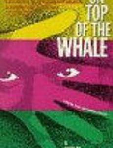 Het dak van de Walvis