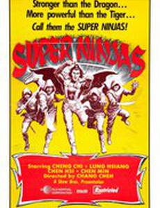 Ниндзя пяти стихий