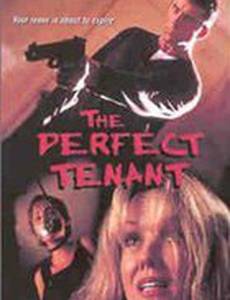 The Perfect Tenant