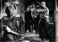 Кадр Пращник