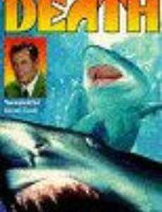 Акулы – пираты глубин