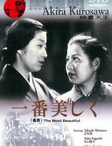 Самые красивые