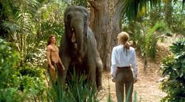 Кадр из фильма "Джордж из джунглей" - 1